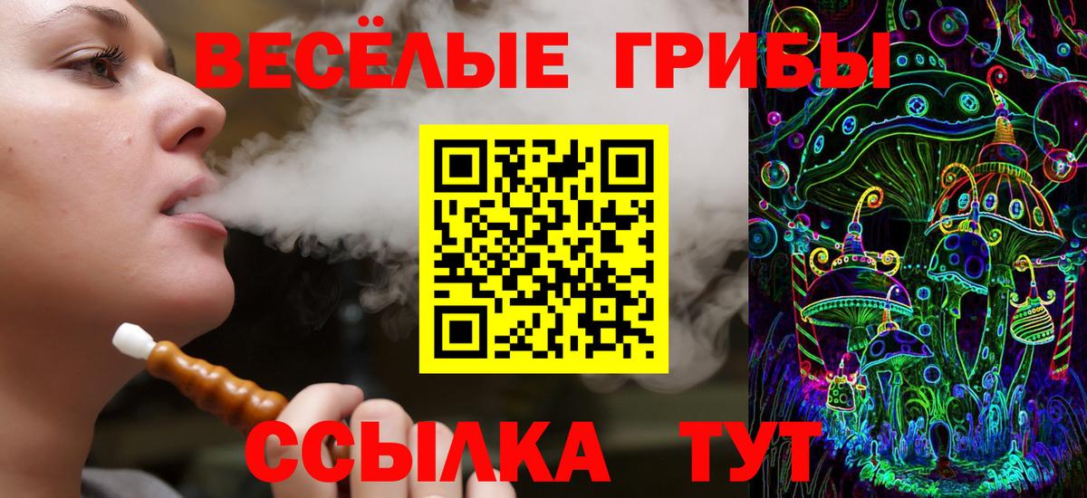 Псилоцибиновые грибы GOLDEN TEACHER Тольятти