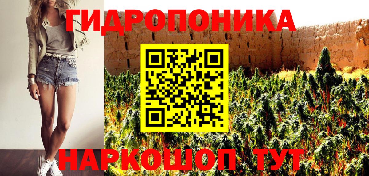 Канабис семена  Каннабис сатива  Вход с VPN  МАРИХУАНА сатива  Тольятти  Бошки марихуана MAZAR 